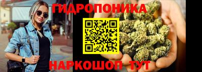 ГАЛЛЮЦИНОГЕННЫЕ ГРИБЫ Сланцы