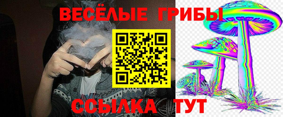 Псилоцибиновые грибы Cubensis  Вход с VPN  Нефтеюганск 